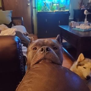 Meet your Posher, Terry